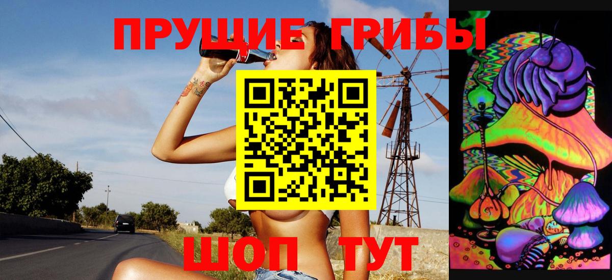Псилоцибиновые грибы мицелий Дубна