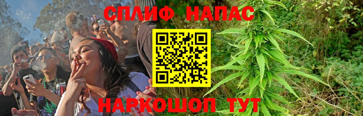 Каннабис конопля  Марихуана конопля  Вход с VPN  Дубна  Бошки Шишки SATIVA & INDICA 